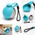 Portable pet water bottle
