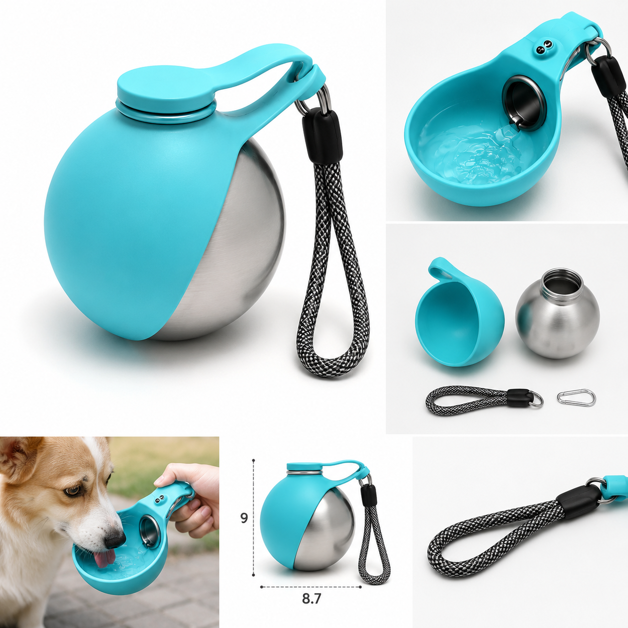 Portable pet water bottle