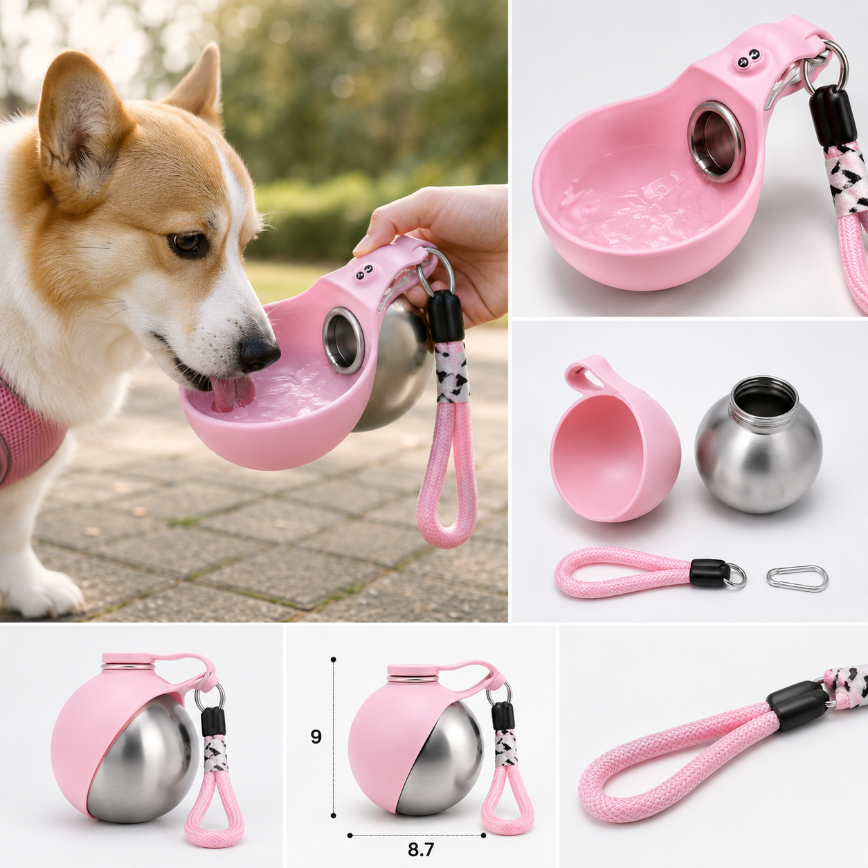 Portable pet water bottle